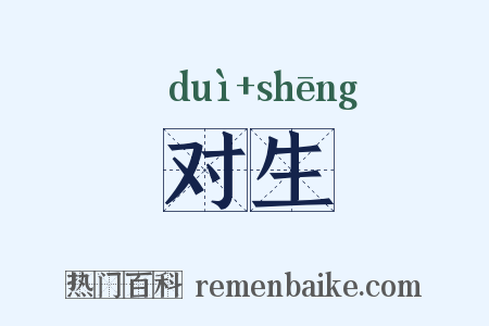对生是什么意思的图片